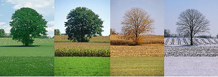 极限竞速：地平线5 23年春季赛总决赛直播回顾